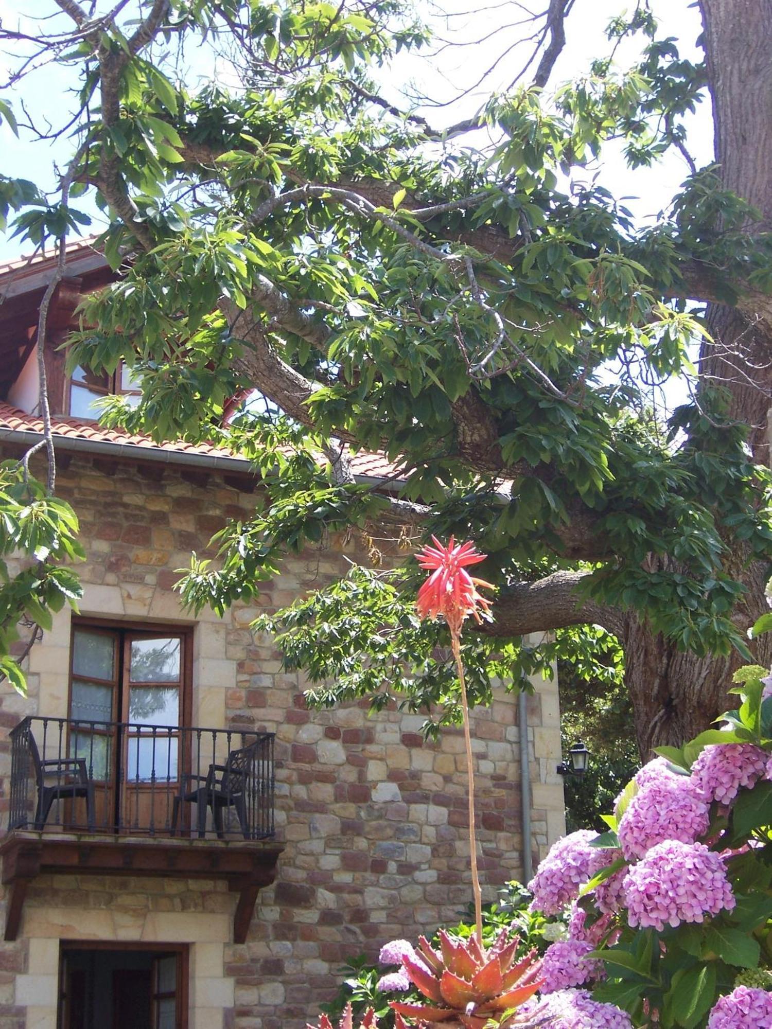 Posada Fuentedevilla Pechón Exterior foto